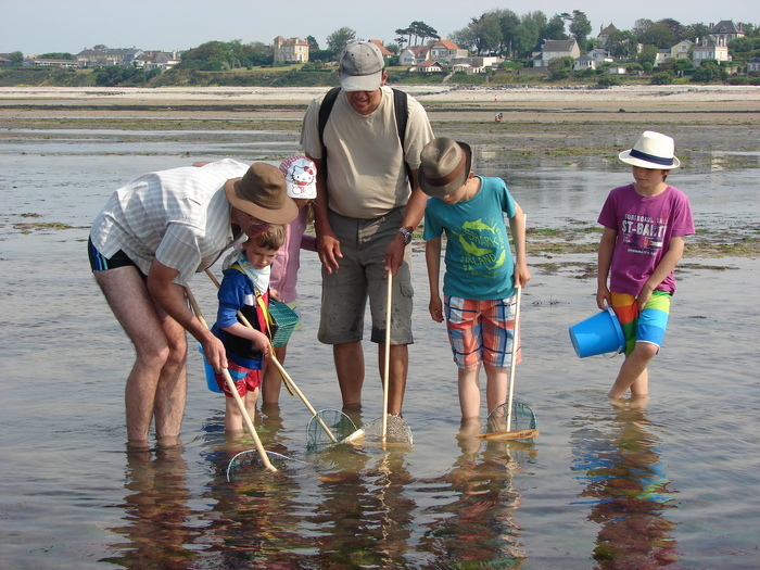 Atelier familles "A vos épuisettes ! découverte des trésors du littoral" Office de tourisme Grandcamp-Maisy