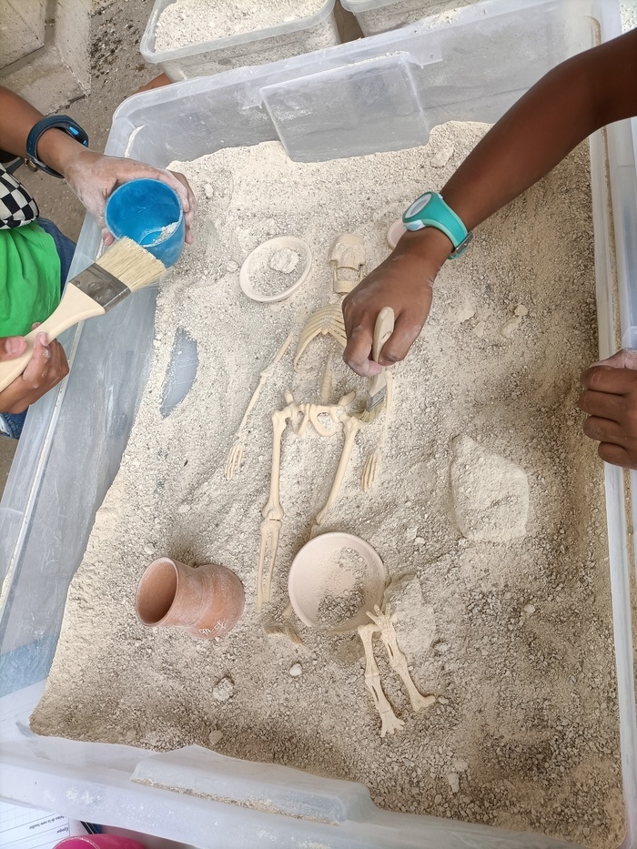 Atelier fouilles : Archéothanat’os : les pratiques funéraires du Paléolithique à l’âge du Bronze Muséum d'histoire naturelle Marseille Marseille
