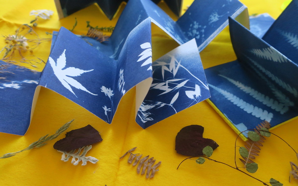Atelier haïkus et cyanotypes Bibliothèque François Villon Paris
