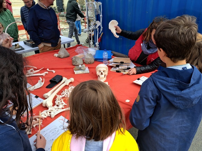 Atelier Inrap : découverte de l'anthropologie Village de l'archéologie de Le Palais - La Chapelle Le Palais