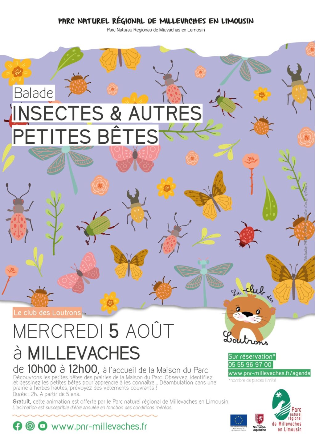 Atelier insectes et autres petites bêtes 7 route d'Aubusson Millevaches 2026-08-05