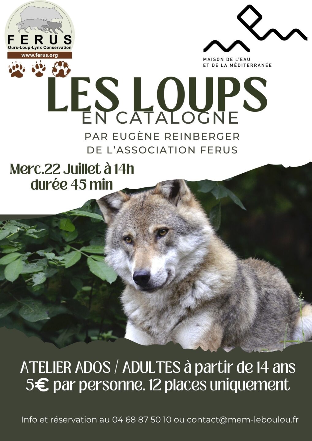 ATELIER LES LOUPS EN CATALOGNE 4 Rue Arago Le Boulou 2026-07-22