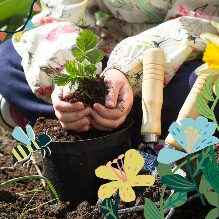 ATELIER PLANTATIONS AU BALCON