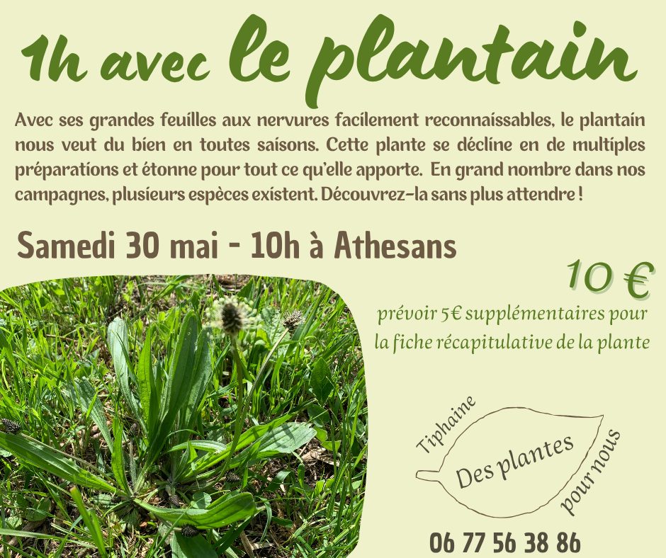 Atelier plantes médicinales Athesans-Étroitefontaine