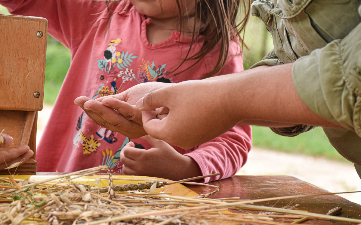 Atelier pratique à la Ferme pédagogique René-Binet dans le 18e Jardin René Binet PARIS