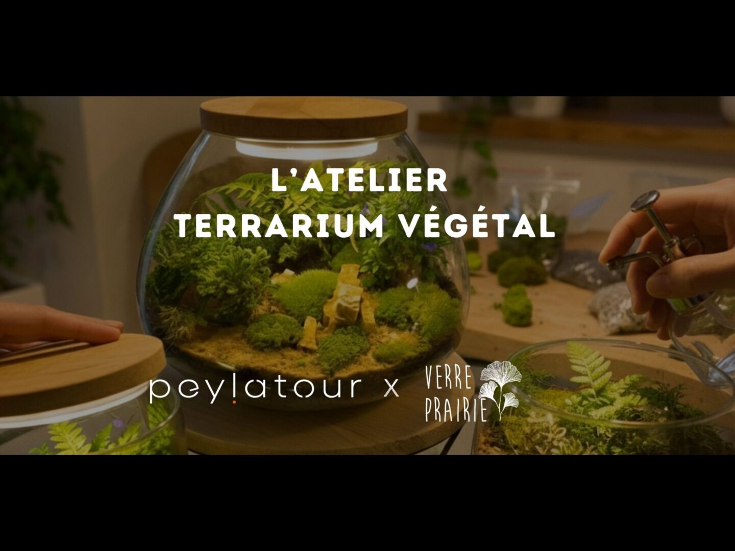Atelier terrarium végétal Pey La Tour Sallebœuf