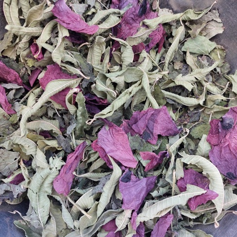 Atelier tisane personnalisée Été Meillant