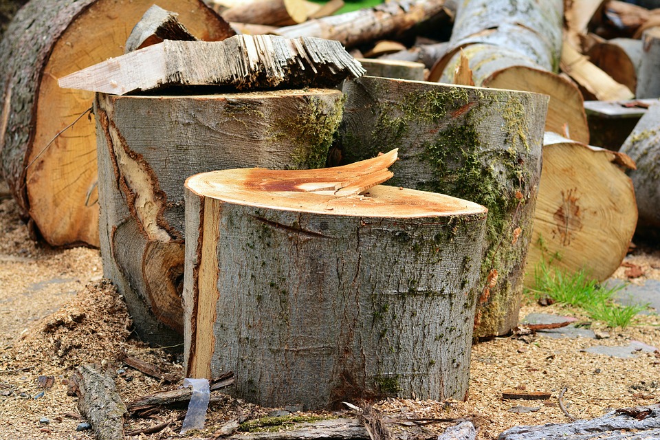ATELIER VALORISATION DU BOIS DE CHÂTAIGNIER Relais de l’Espinas Ventalon en Cévennes