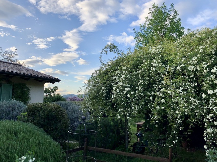 Au-delà des jardins – Visite guidée du jardin de Fontevecchia – Montasola, Giardino Fontevecchia, Montasola