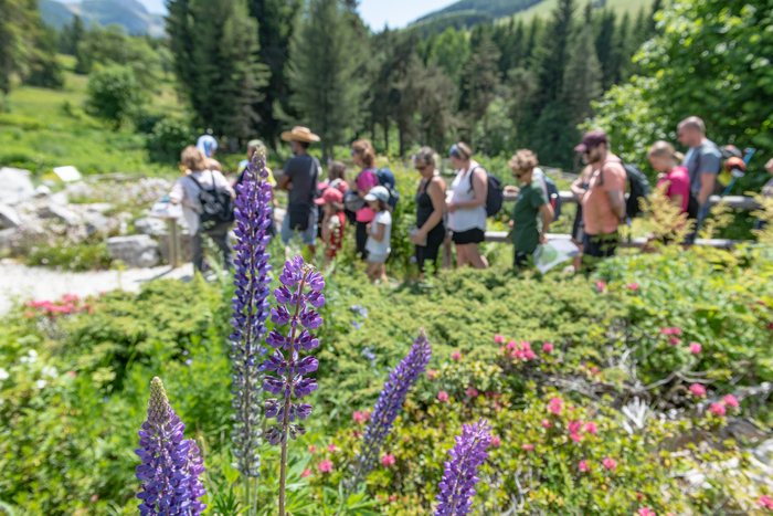 Au-delà du regard, Giardino Botanico Alpino Viote Monte Bondone, Trento