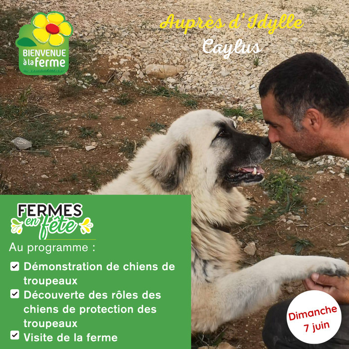 Auprès d’Idylle – Printemps Bio et Quinzaine de la Bio, 2830 route de Caudessagues, 82160 Caylus, Caylus