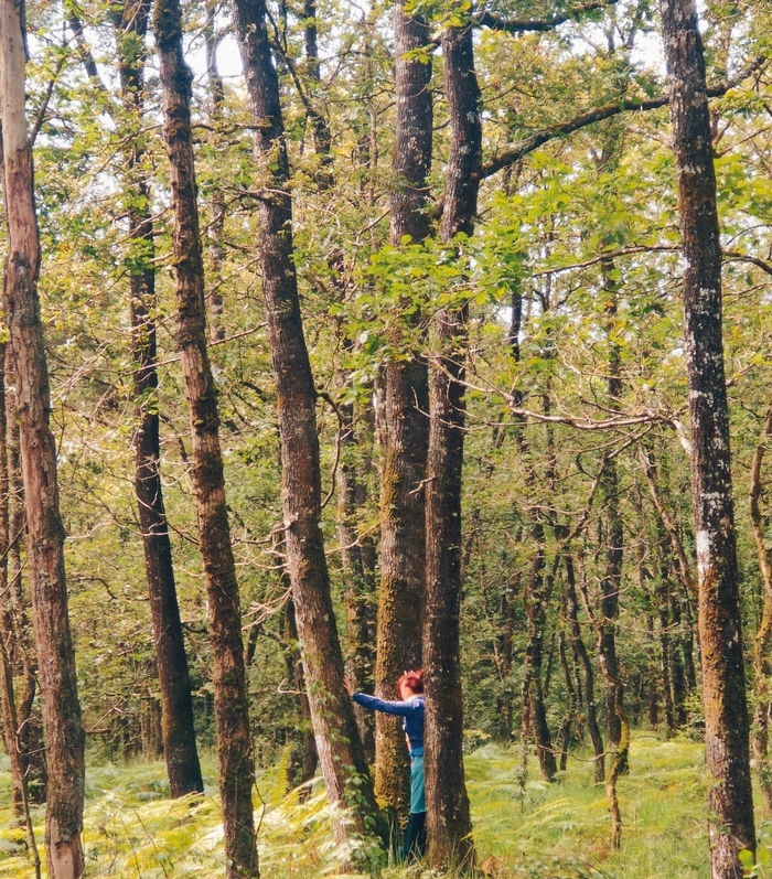 Bain de forêt aux Gayeulles !, Guinguette du Parc des Bois, Parc des Gayeulles, Rennes