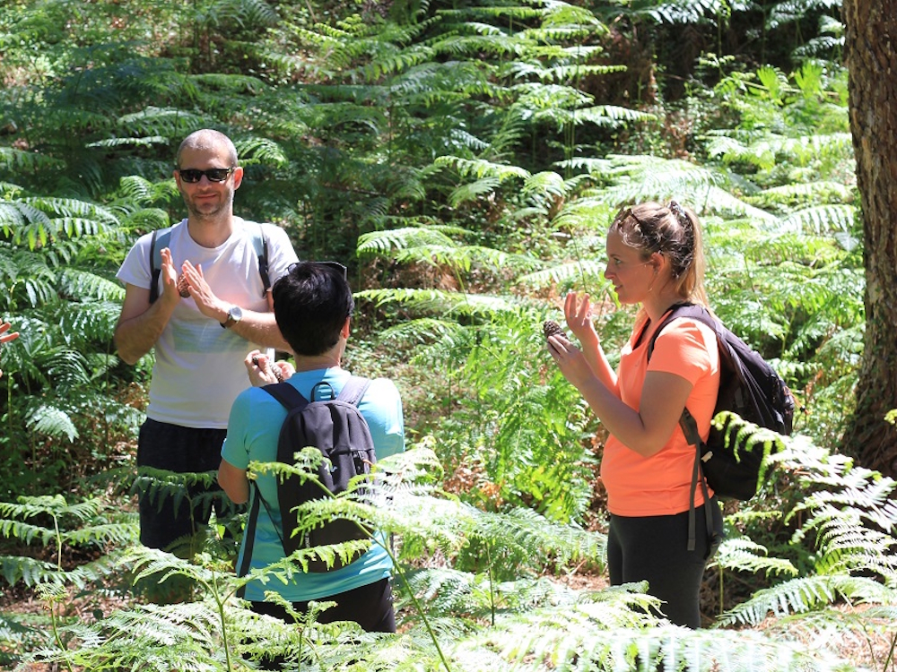 Bain de forêt Seignosse