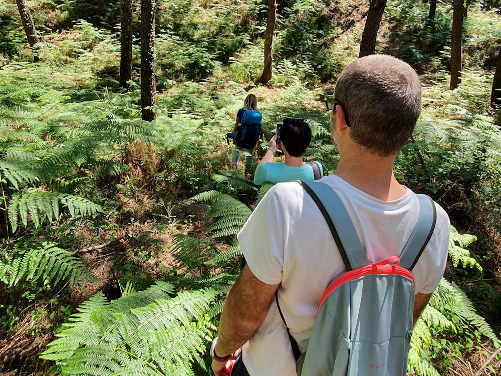 Bain de forêt Seignosse