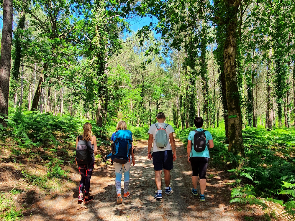 Bain de forêt Seignosse