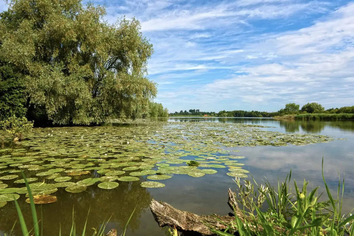 Balade contée : à la frontière des mondes, Maison éclusière de Long, Long