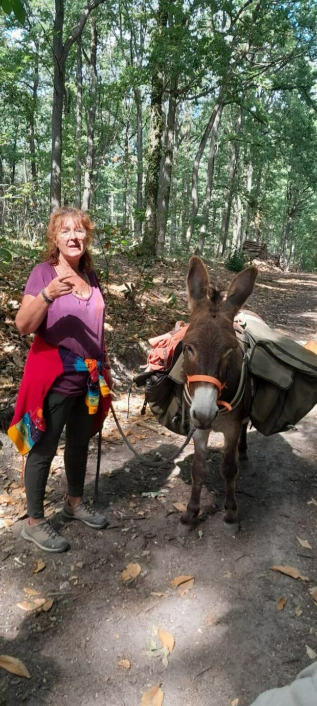 Balade contée avec un âne : la forêt enchantée, Devant la gare SNCF « Les Clairières de Verneuil », Verneuil-sur-Seine