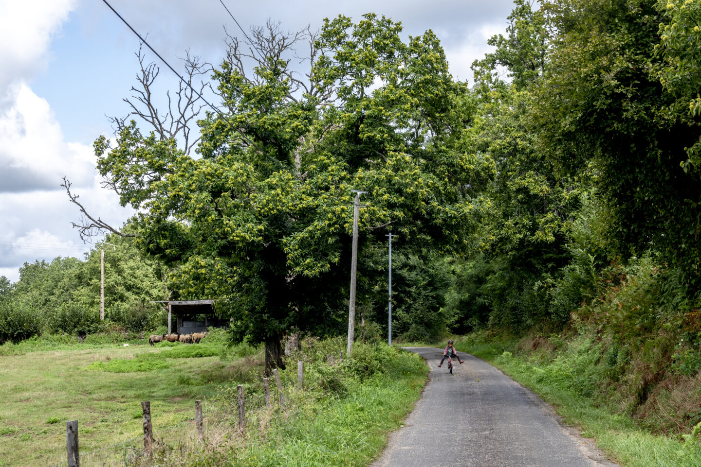 Balade contée en occitan Glanges