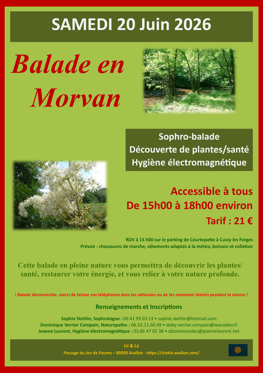 Balade déconnectée en Morvan RDV au parking de Courtepatte à Cussy les Forges Cussy-les-Forges 2026-06-20