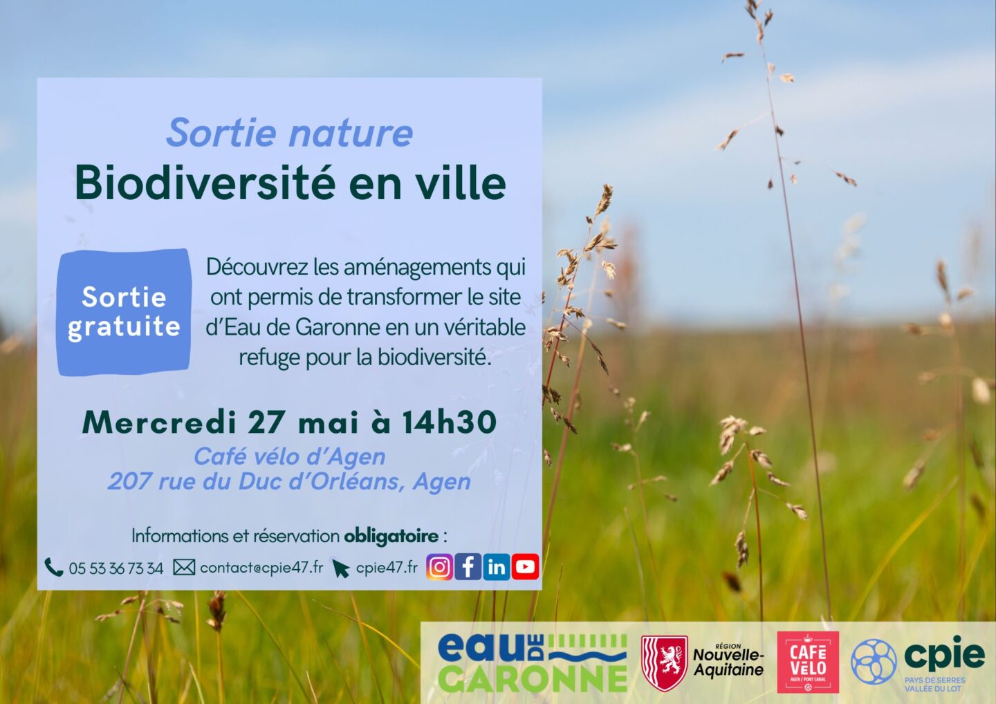 Balade découverte de la biodiversité en ville Café Vélo Agen