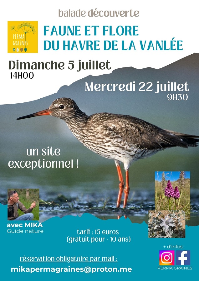Balade découverte de la faune et de la flore du Havre de la Vanlée Route du Havre de la Vanlee Bricqueville-sur-Mer