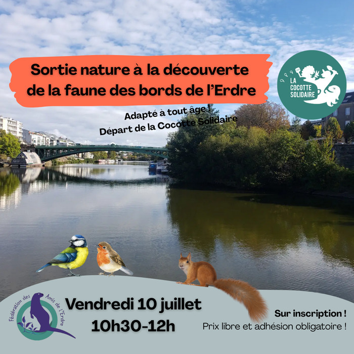 Balade découverte de la faune & flore avec la maison de l’Erdre, La Cocotte Solidaire, Nantes