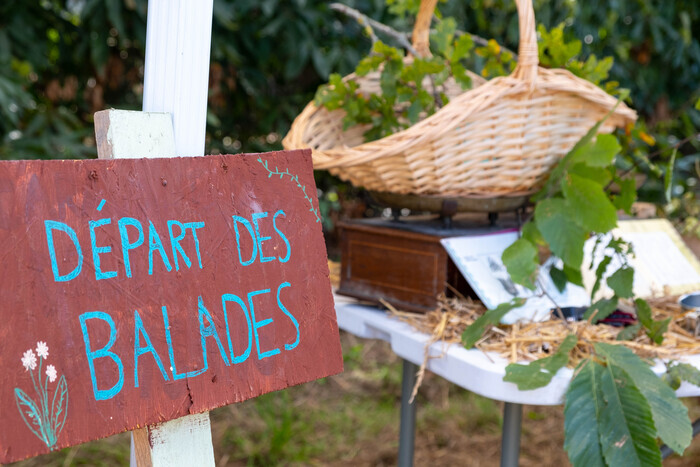 Balade dégustation : à la découverte des plantes de la Prévalaye, Keolis Rennes Métropole – Garage Atelier La Maltière, Rennes