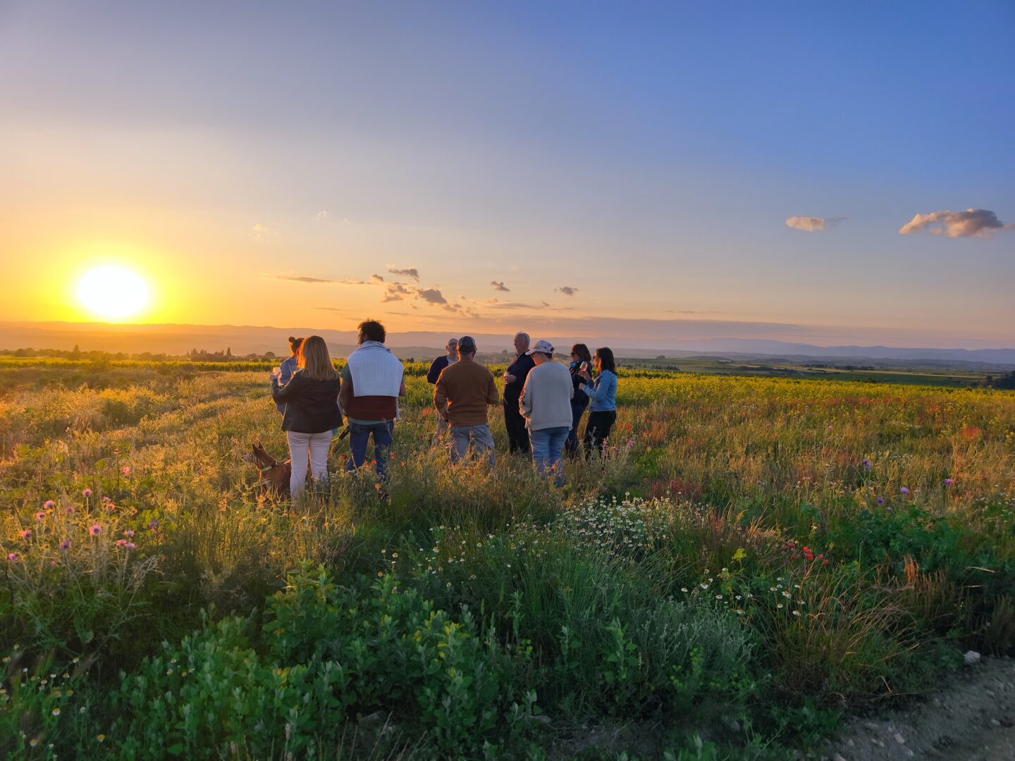 BALADE GOLDEN HOUR AU DOMAINE  Montady