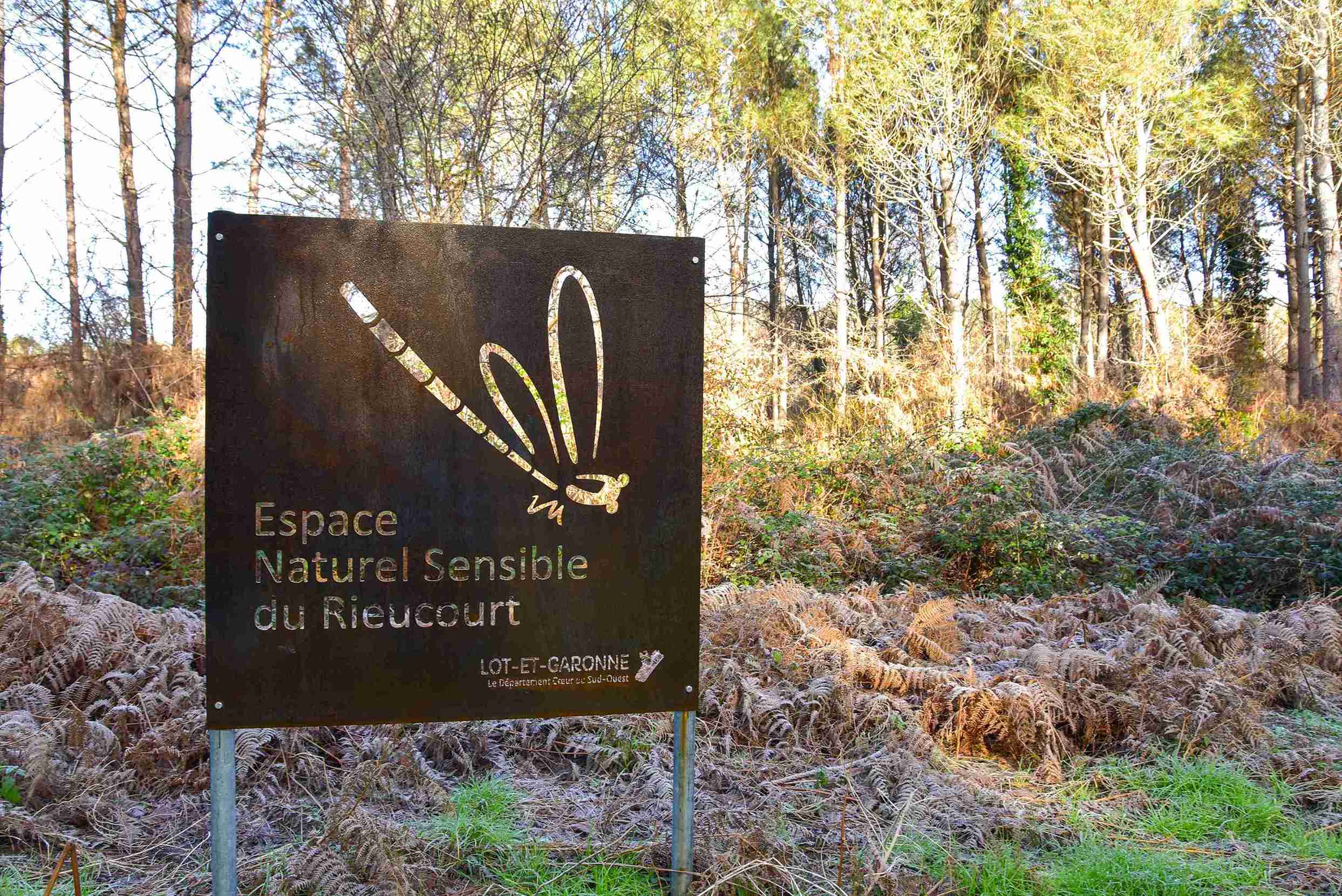 Balade naturaliste  Pindères