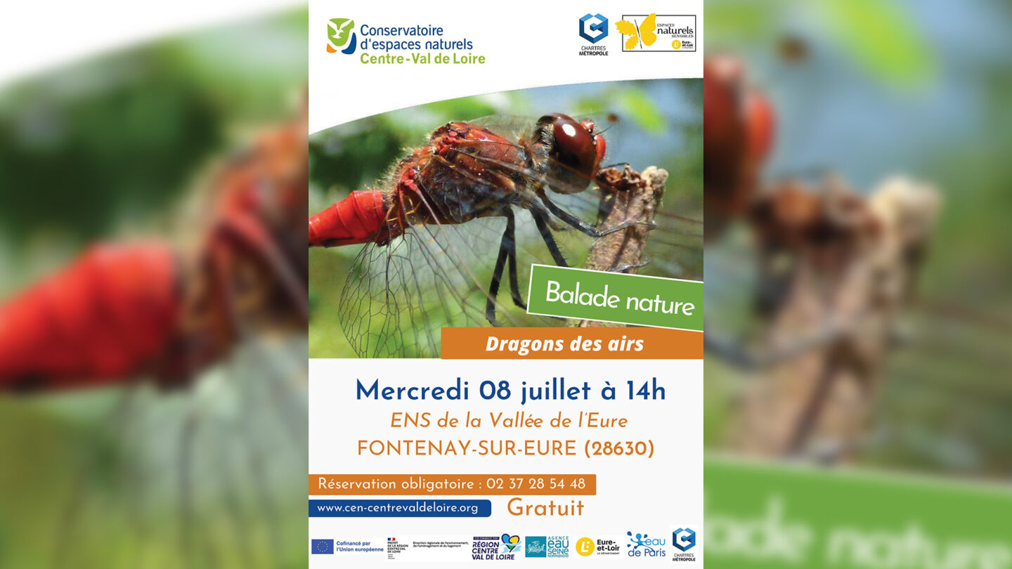 Balade nature Dragons des airs Fontenay-sur-Eure
