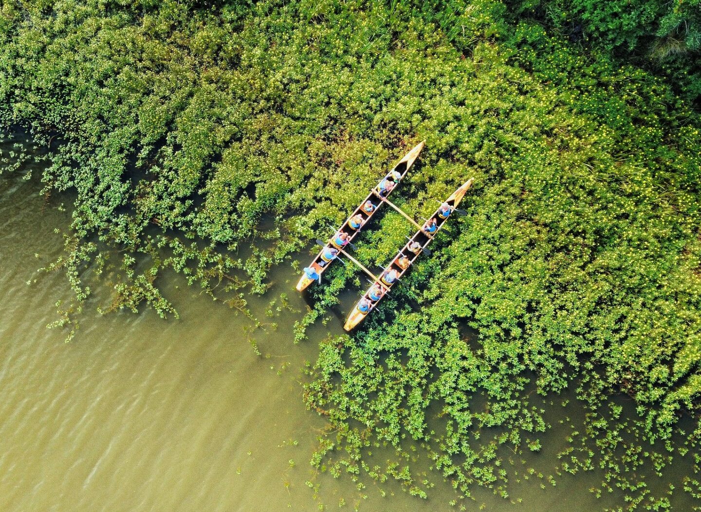 Balade nature en pirogue hawaïenne Mimizan