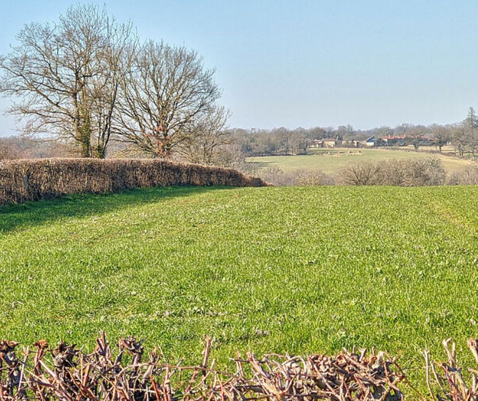 Balade nature Le bocage dévoilé nature préservée et géologie à Luchapt Luchapt