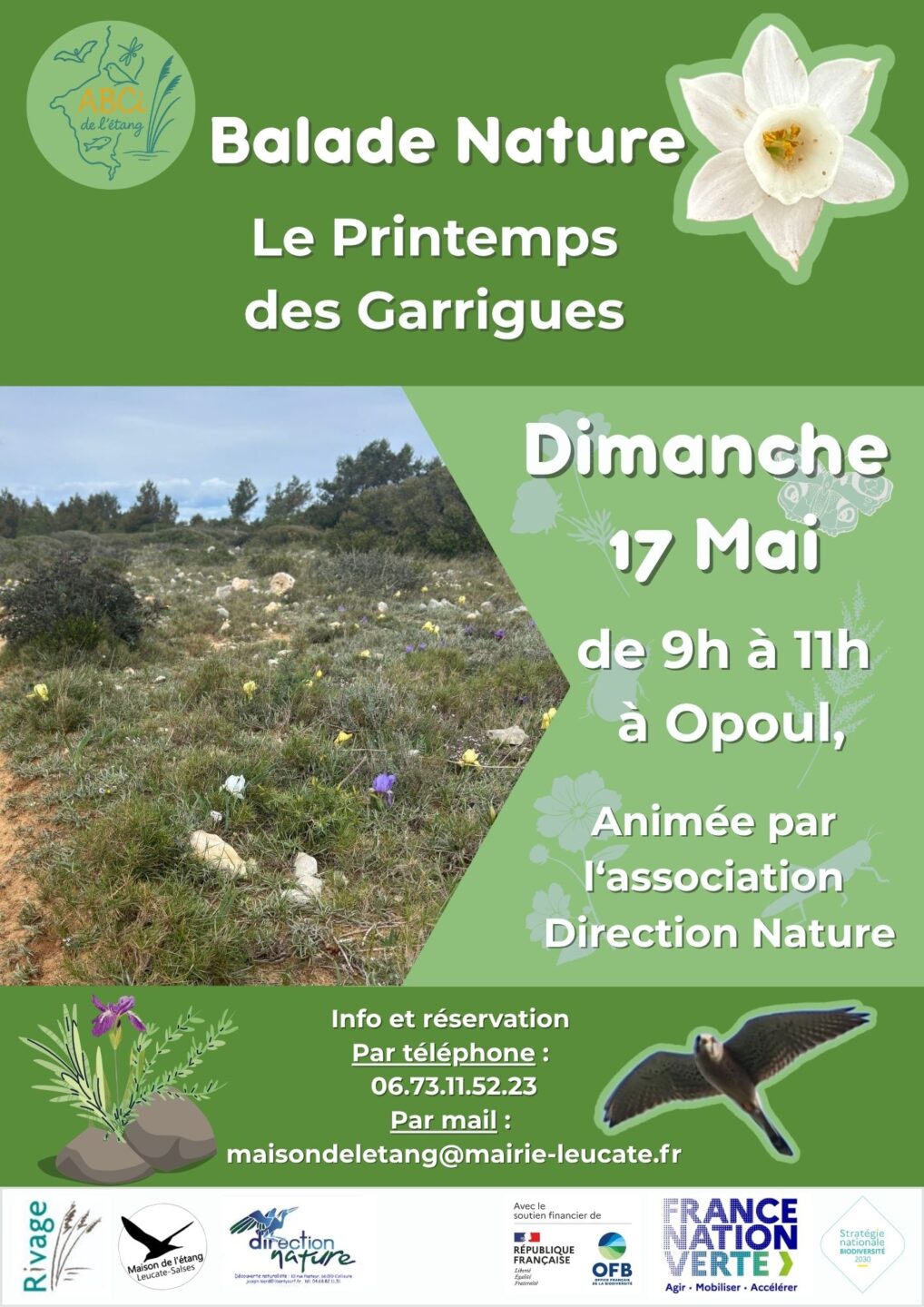 BALADE NATURE LE PRINTEMPS DES GARRIGUES  Opoul-Périllos