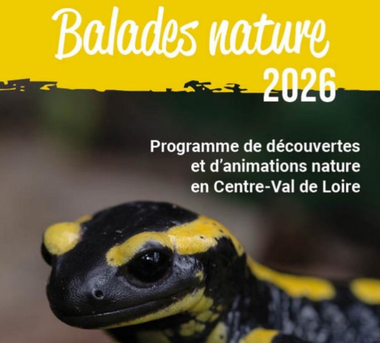 Balade nature Les orchidées du Sancerrois Sancerre