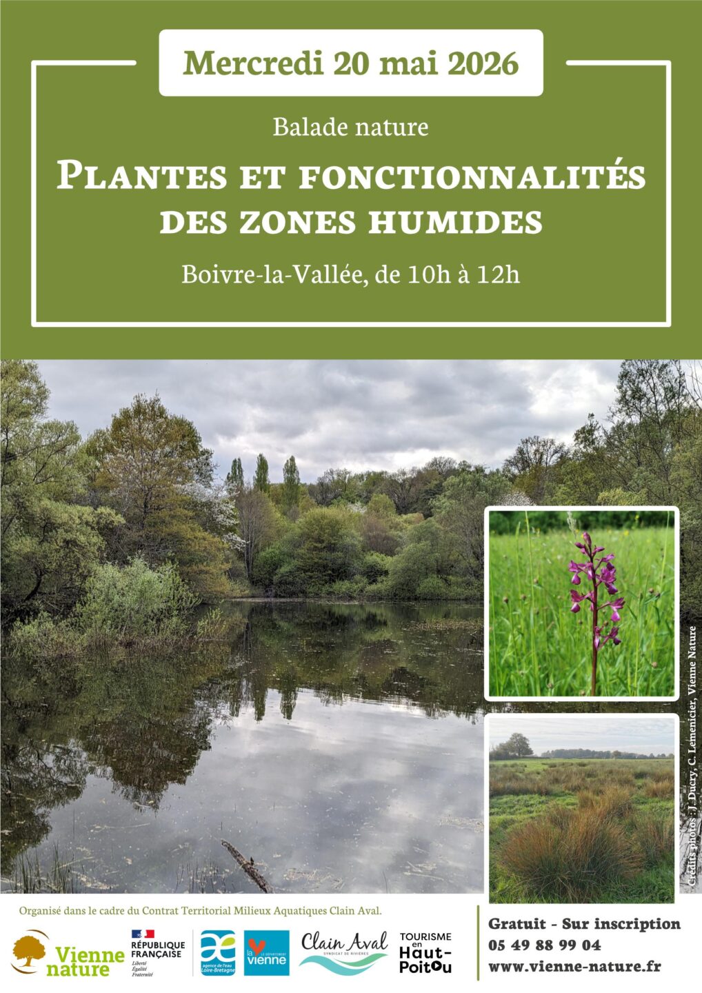 Balade nature plantes et fonctionnalités des zones humides  Boivre-la-Vallée