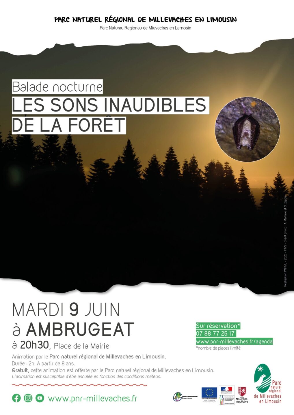 Balade nocturne les sons inaudibles de la forêt  Ambrugeat