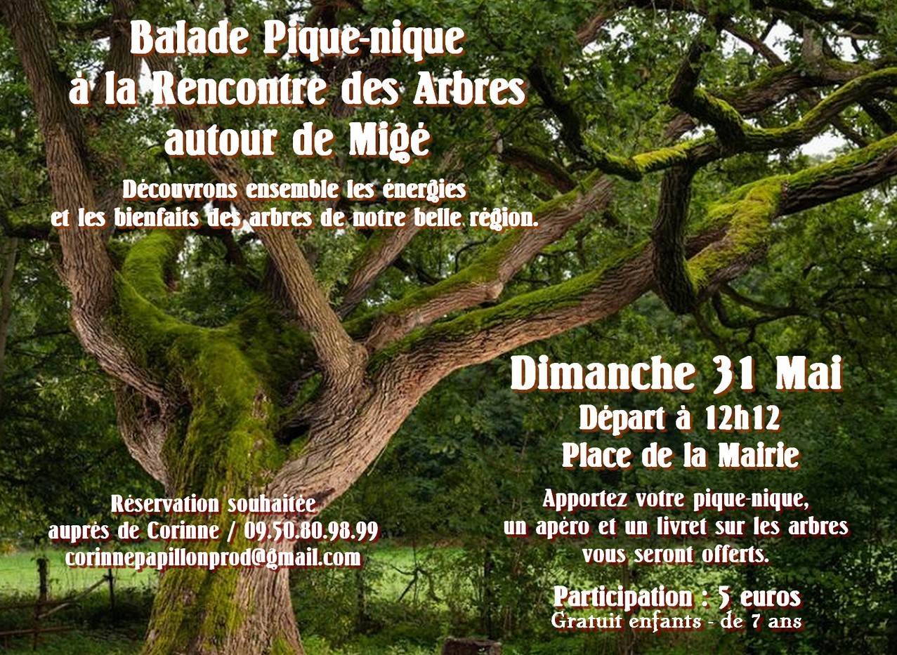 Balade Pique-nique à la rencontre des Arbres à Migé Migé