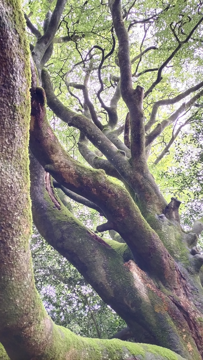Balade sensorielle et créative au Parc des Gayeulles, Local convivial, Rennes