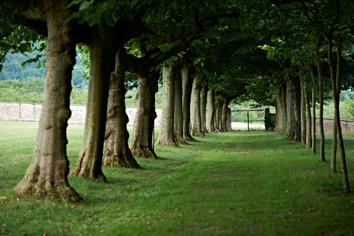 Balade thermique du parc de la Léonardsau, Les Jardins du Domaine de la Leonardsau, Bœrsch