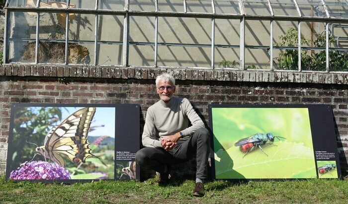 Balades poétiques sur les insectes, Maison du Parc naturel régional du Vexin français, Théméricourt