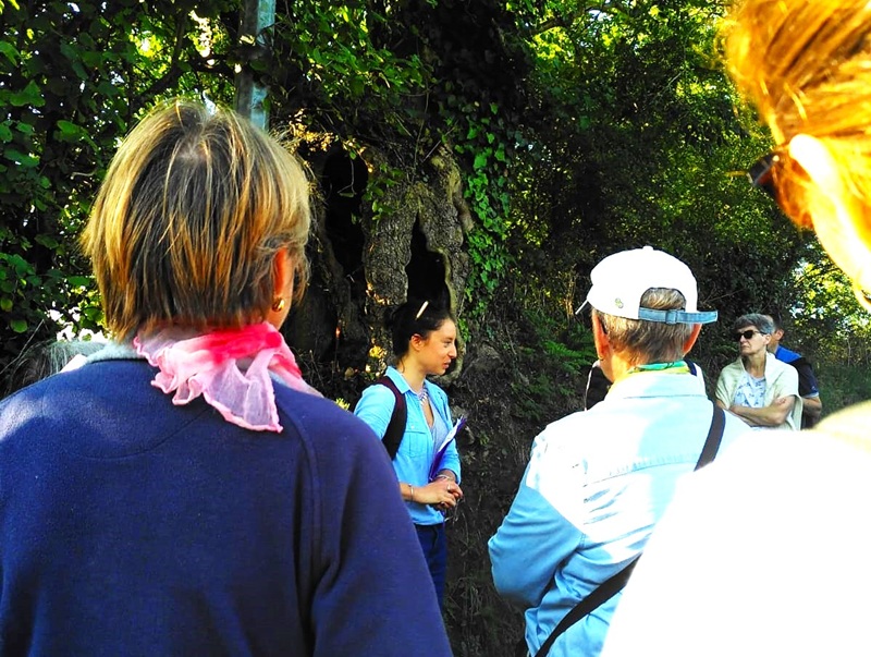 Bocage en baskets La Feuillie