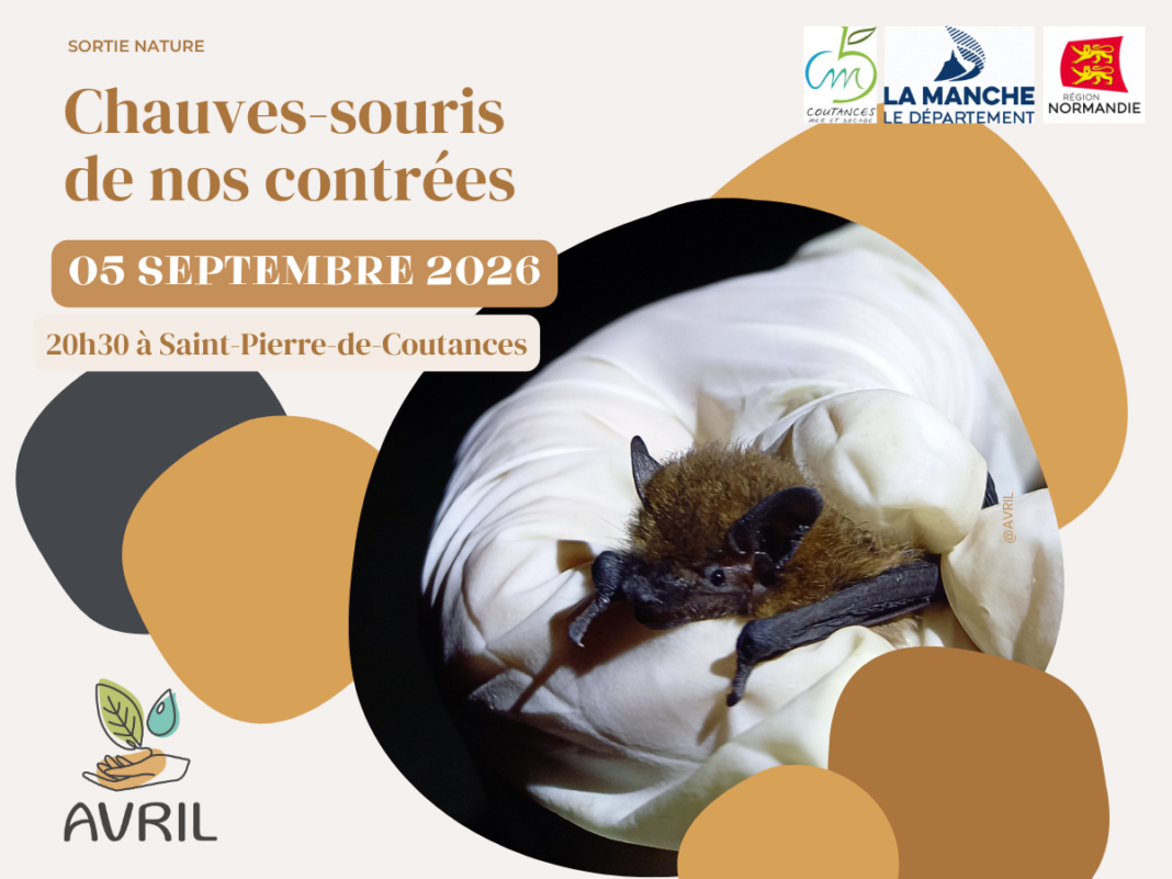 Chauves-souris de nos contrées Saint-Pierre-de-Coutances