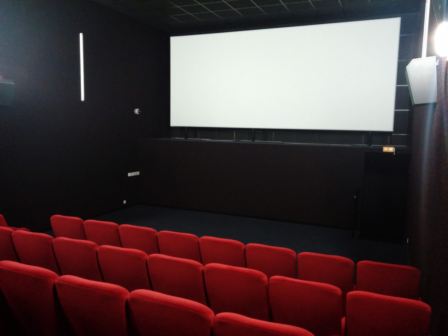 CINÉMA SÉANCE SPÉCIALE SOUS LE SOLEIL DES PRÉNÉES CINÉMA LE RÉGENT Saint-Gaudens
