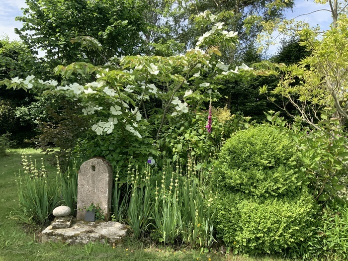Circuit : ouverture exceptionnelle de 5 jardins privés Eglise Notre-Dame Le Vicel