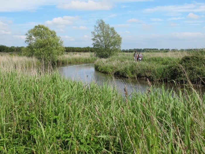 Circuit : randonnée dans les marais des Ponts d’Ouve, Maison du Parc, Carentan-les-Marais