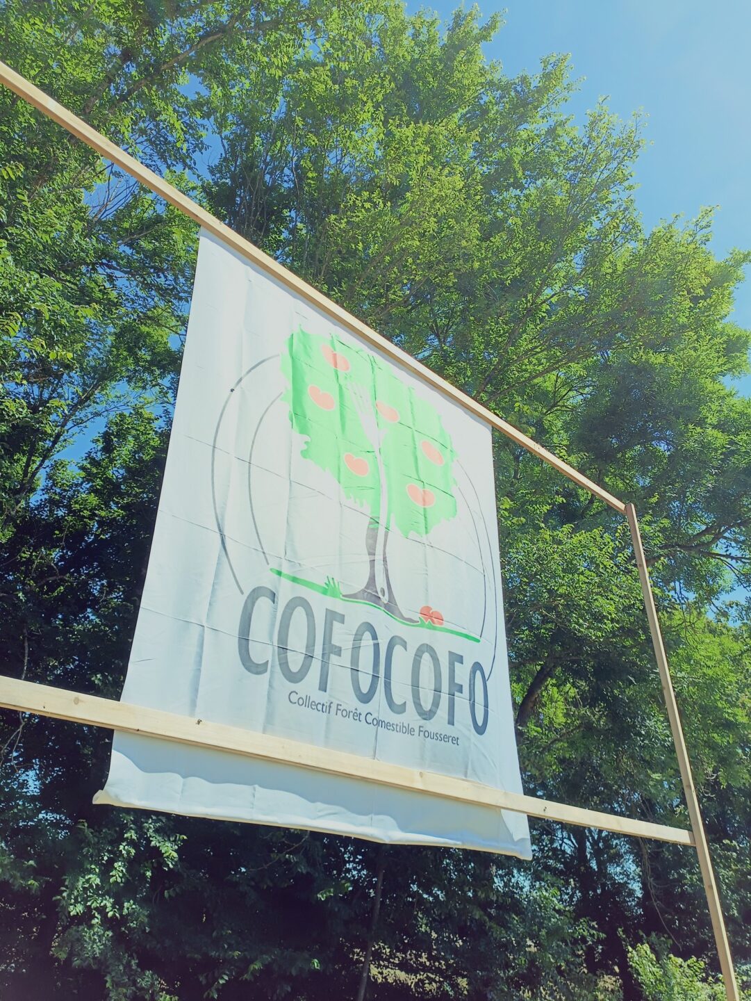 COFOCOFO FIESTA 4 chemin de Camolève Le Fousseret