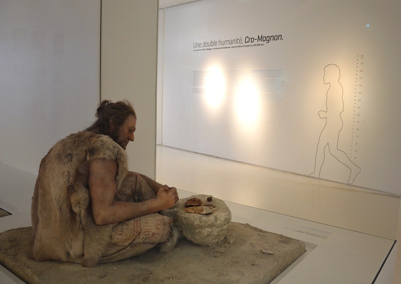 Colloque Des parois de la caverne aux murs de la ville Pôle d’interprétation de la Préhistoire Les Eyzies