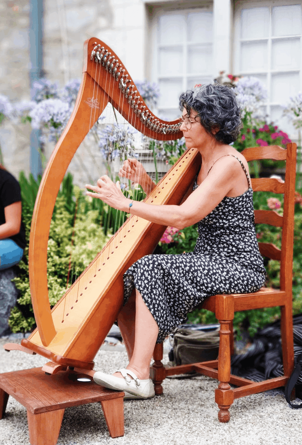 Concert des harpes et violons  Sauveterre-de-Béarn