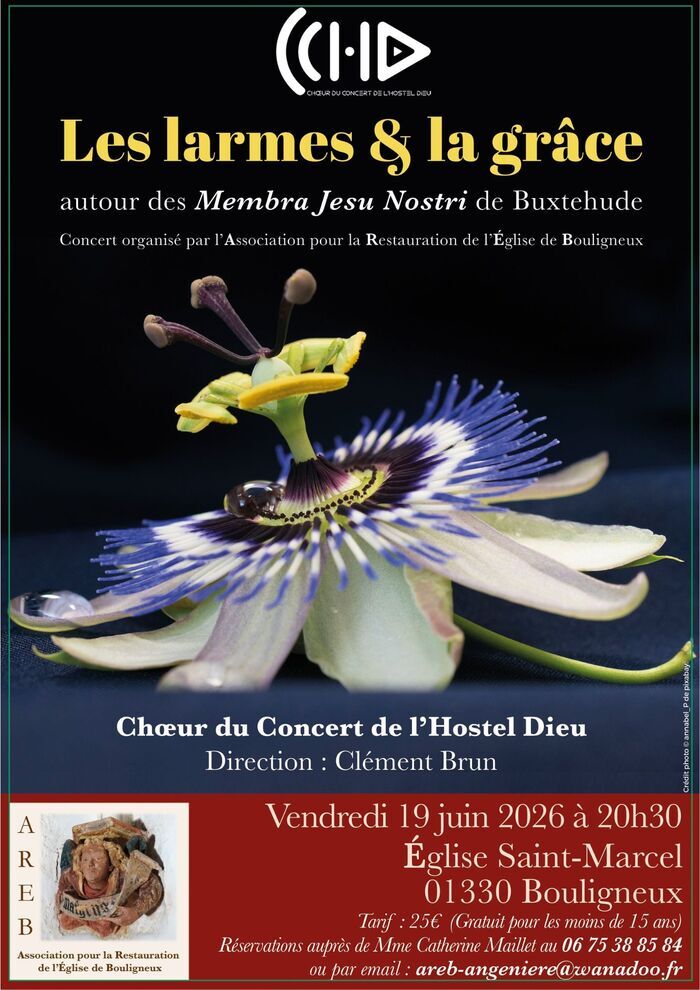 CONCERT : Les larmes & la grâce Eglise de Bouligneux Bouligneux