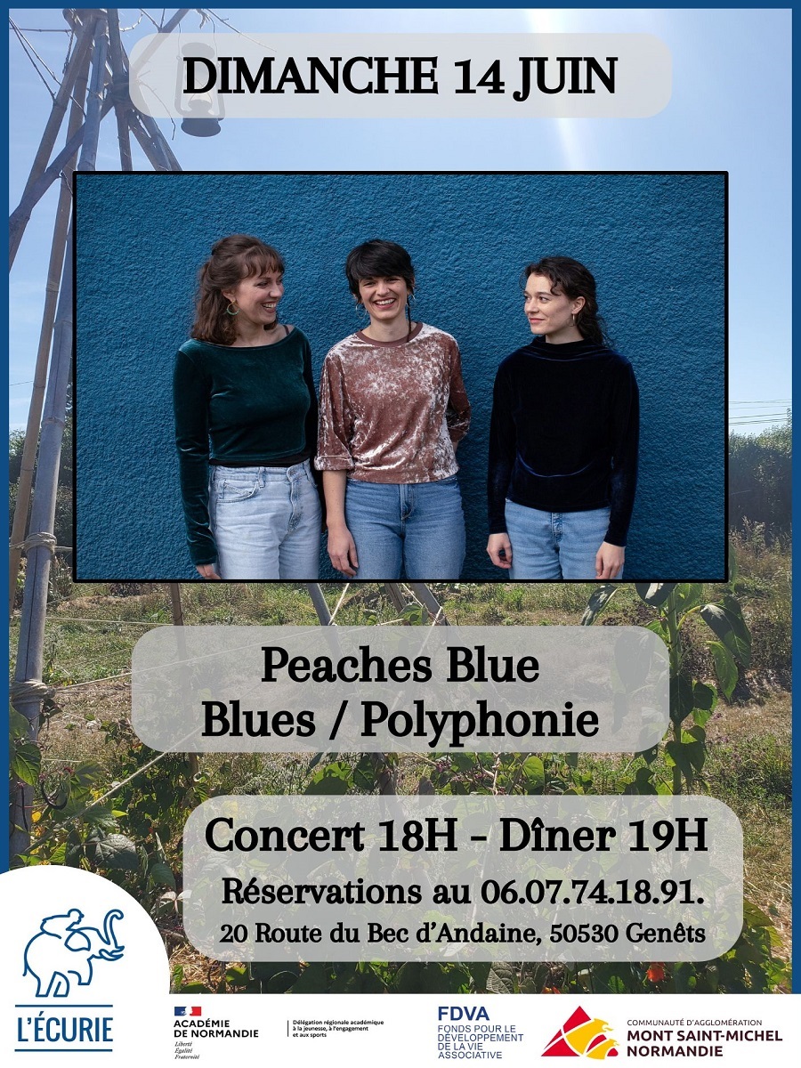 Concert Peaches Blue Bar associatif L’Ecurie Genêts